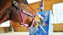 Condamné, cet ancien cheval de course s'essaye à la peinture, et ses toiles vont lui sauver la vie !