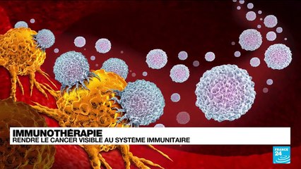 Santé : les thérapies ciblées contre le cancer