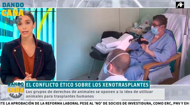 ¿Es ético trasplantar órganos de animales a personas?