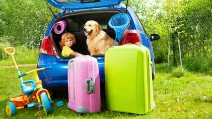 Été 2017 : Partir en vacances ou rester pour garder son animal ? Plus besoin de choisir !