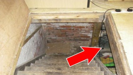 Grande-Bretagne : un couple retenait en cage des animaux dans l'obscurité de leur sous-sol