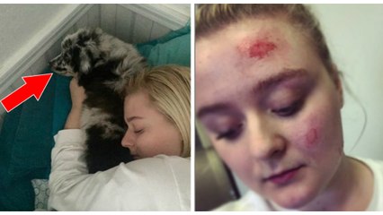 Une jeune fille finit aux urgences après qu'un homme ait caressé son chien d'assistance