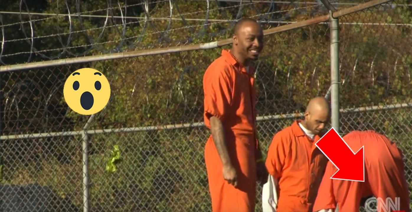 États-Unis: des chiens comme compagnons de cellules de prisonniers à Atlanta