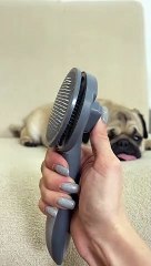 Making a Pug Hair Hat