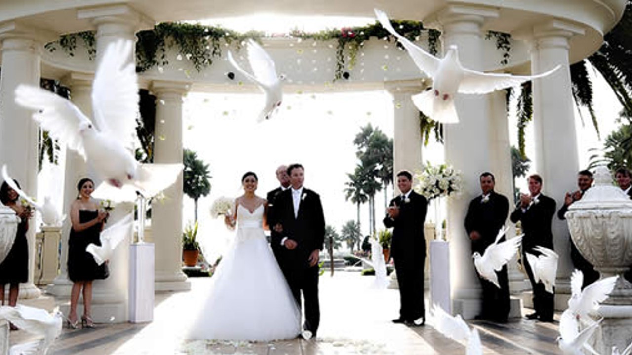 Mariages : Savez-vous ce qu'il advient des colo...