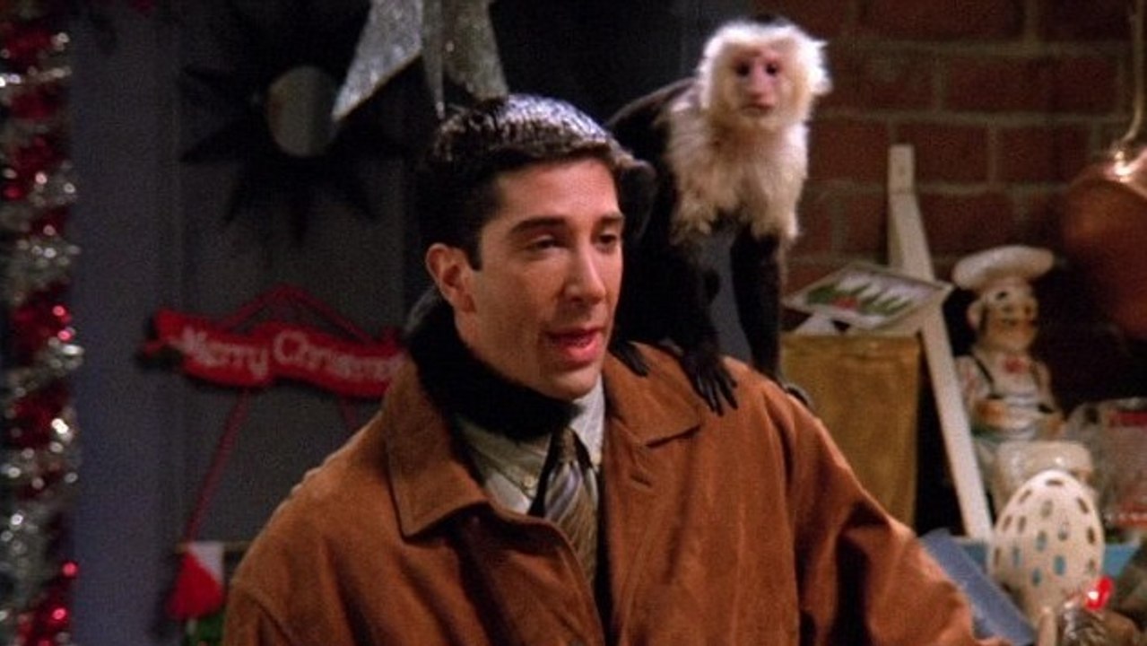 Friends : voici ce qu’est devenu Marcel, le singe tant aimé de Ross
