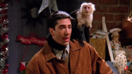 Friends : voici ce qu’est devenu Marcel, le singe tant aimé de Ross