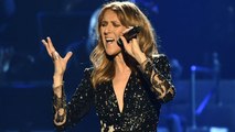 Céline Dion : les messages cachés derrière ses tenues de scène à l'AccordHotels Arena