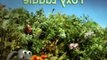 Shaun the Sheep Season 2 Episode 35 - Foxy Laddie