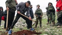 نشطاء إسرائيليون يشاركون الفلسطينيين زراعة أشجار الزيتون