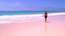 Pink Sand Beach : voici à quoi ressemble vraiment la fameuse plage de sable rose aux Bahamas