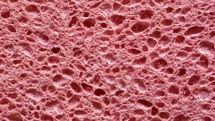 A quelle fréquence devez-vous changer votre éponge ? Voici la vraie réponse !