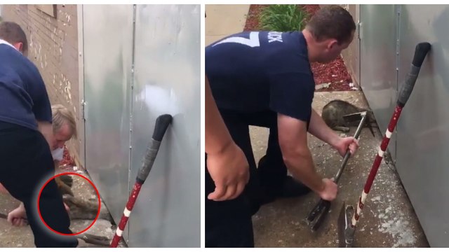 Des pompiers sauvent un chat coincé sous une porte en métal