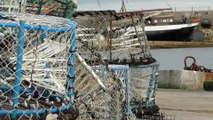 Campaign launched to save Kent's fishing fleet and make the practice more sustainable