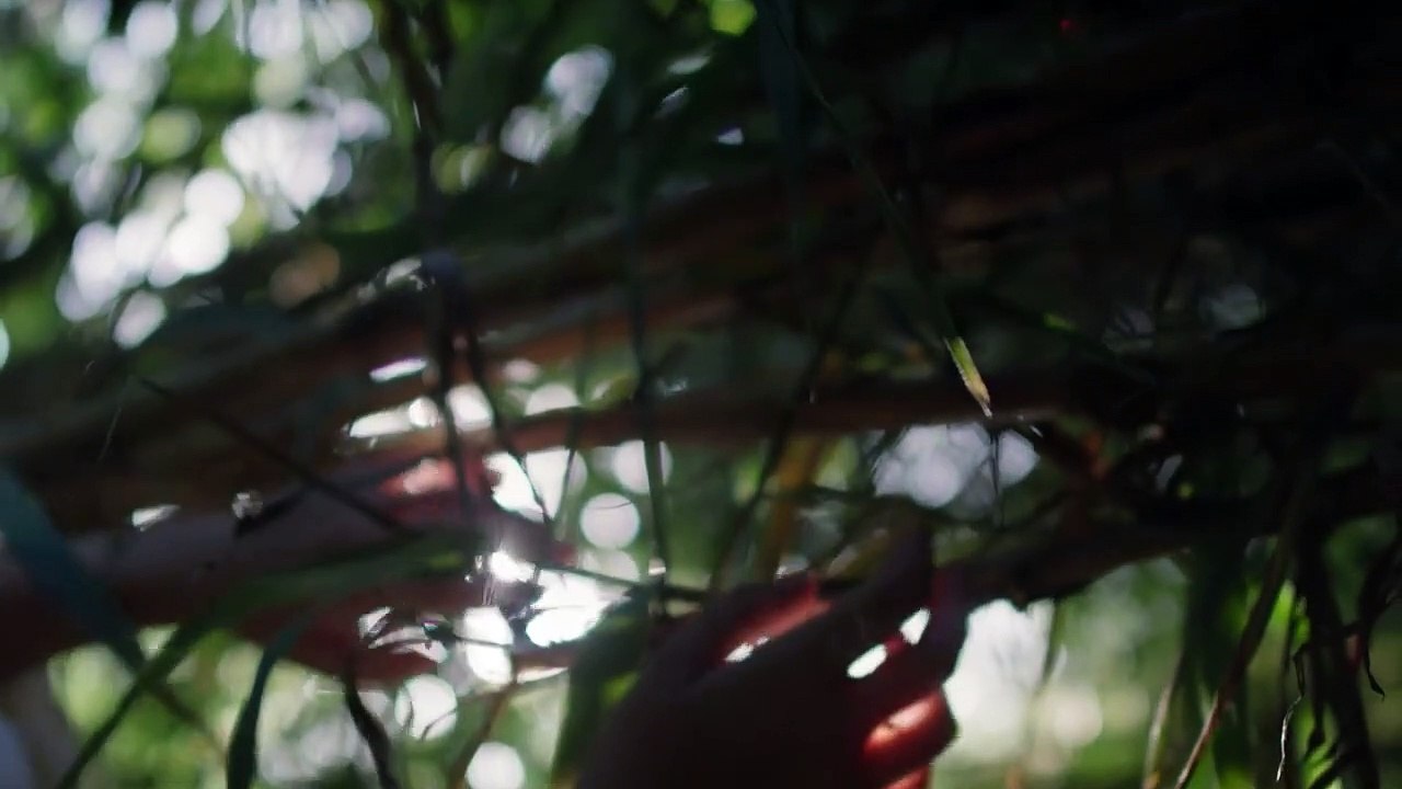 Gessamí Boada - 'Com si no fossis ningú'