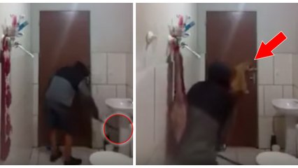 Un homme et son chat paniquent complètement en essayant d'attraper un énorme rat !