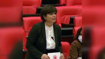 Bizim inandıklarımıza onlar da inanıyormuş! Asker, polis vurmak hangi kitapta yazıyor Meral?