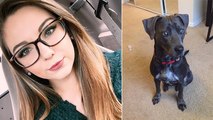 Une étudiante demande à son prof la permission d'emmener son chien en cours à l'université
