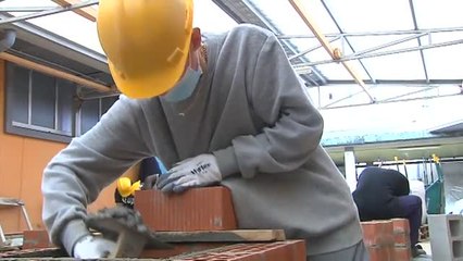 Se buscan profesionales