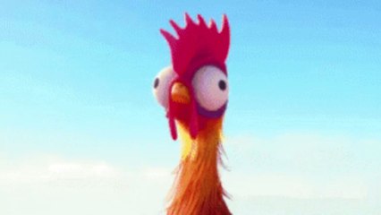 Twitch : la plateforme interdit les combats de coqs diffusés en live