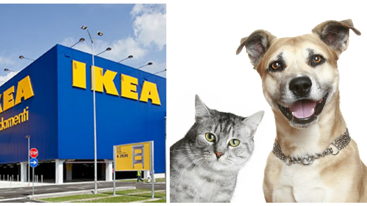 IKEA : découvrez "Lurvig", la nouvelle collection de meubles déco pour animaux