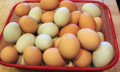 Après le beurre, il pourrait y avoir une pénurie d'oeufs