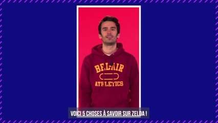 Zelda : une version extrêmement rare atteint un prix exorbitant aux enchères