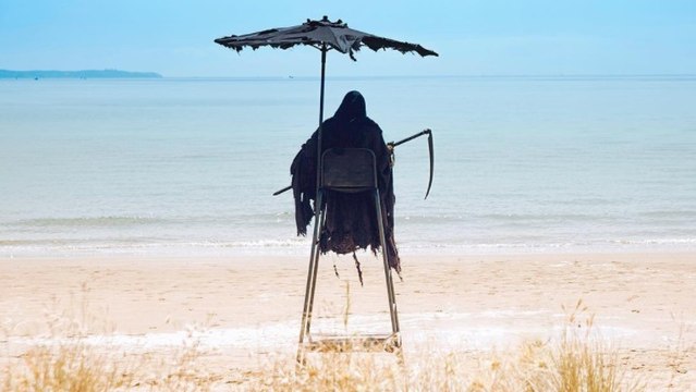 Une étrange faucheuse envahit les plages néo-zélandaises