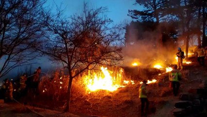 서울 중랑구 봉수대 공원 불...다친 사람 없어 / YTN
