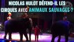 Quand Nicolas Hulot défend la captivité des animaux sauvages dans les cirques