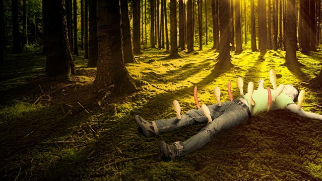 What If You Were Infected by the Cordyceps Fungus?