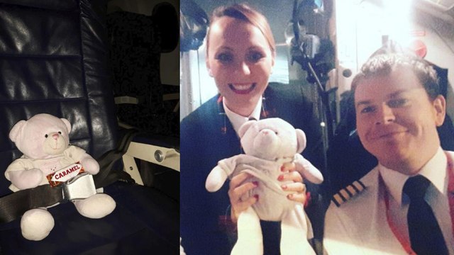 La raison pour laquelle cet ours en peluche a dû voyager seul en avion va vous fendre le coeur