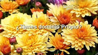 ¿ TIENES DOMINIO PROPIO ?