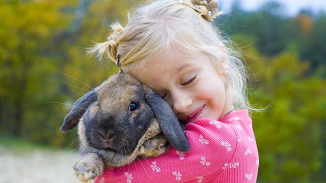 Ces signes infaillibles qui montrent que votre lapin vous adore !