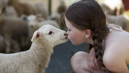 Végétarien, végétalien, vegan : quelle différence ?