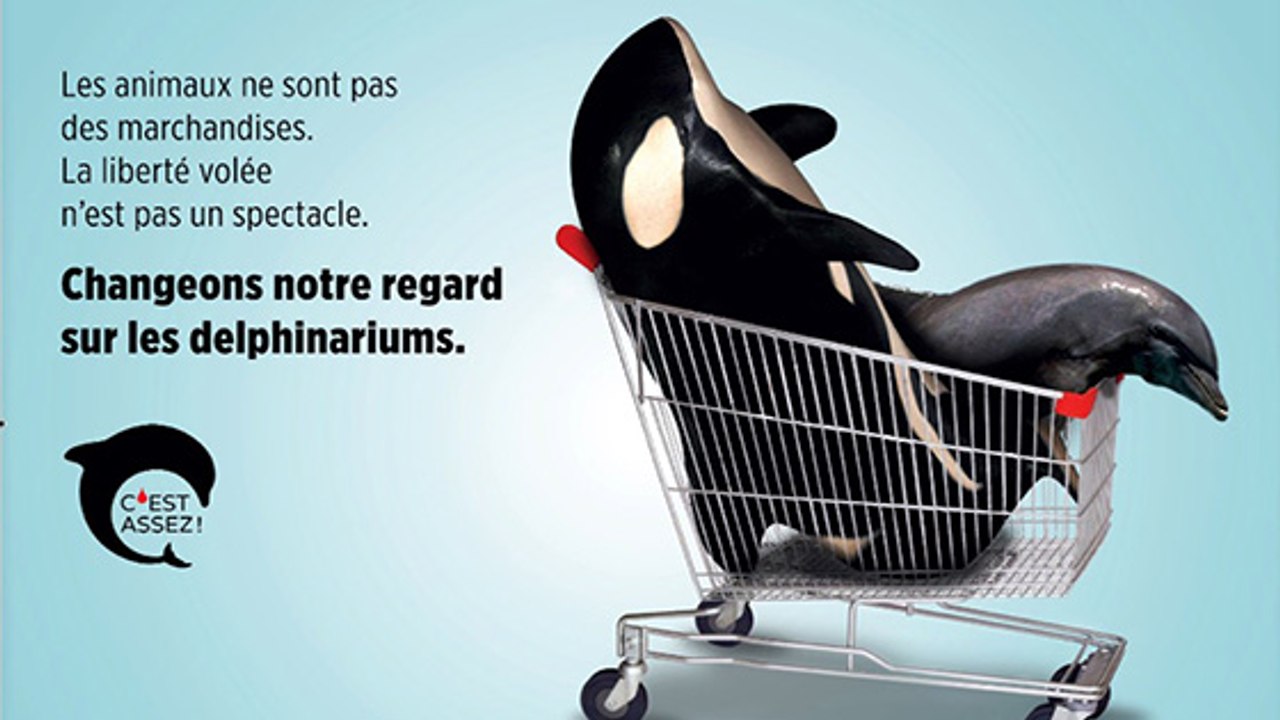 L'association C'est Assez lance une campagne choc d'affichage dans le métro