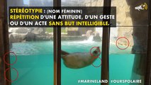 Rémi Gaillard dévoile une enquête choc au Marineland d’Antibes