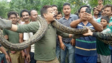 Inde : Son selfie avec un python aurait pu lui coûter la vie !