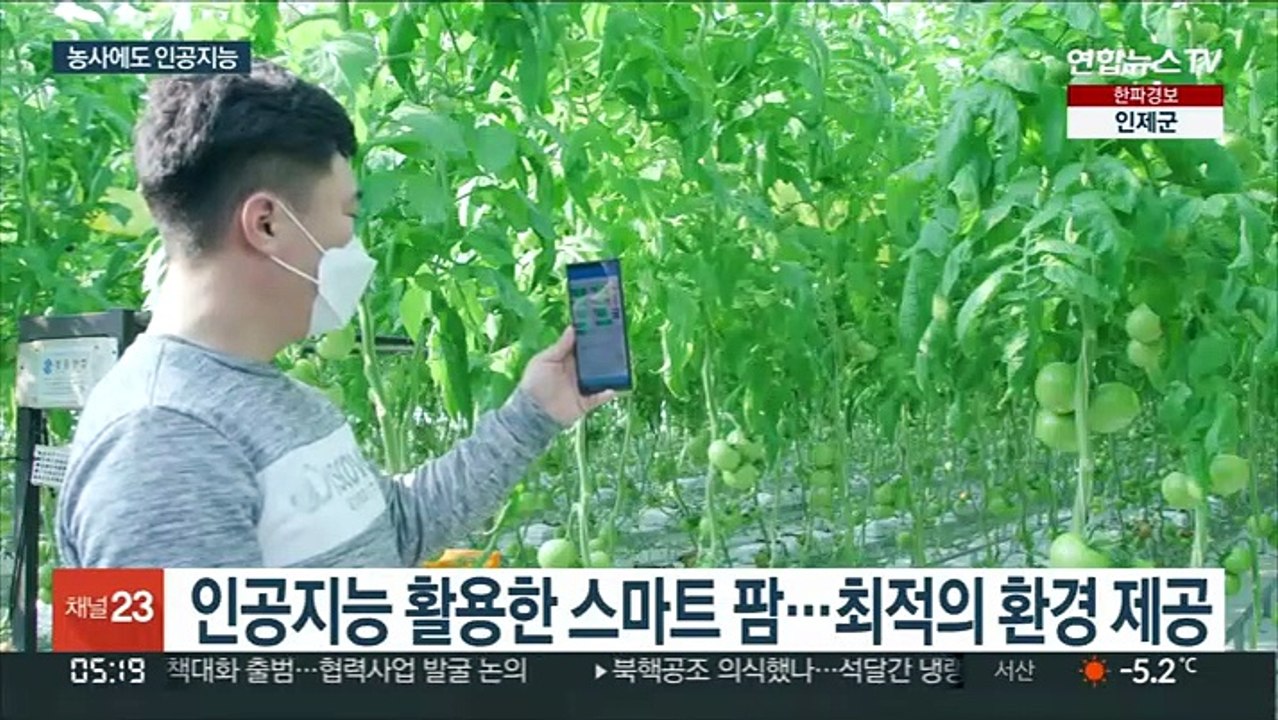 농사에 인공지능 접목…"일은 쉽고 수확은 늘고"