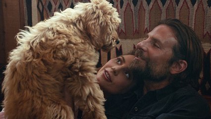 Bradley Cooper va bientôt recevoir un prix par la PETA !