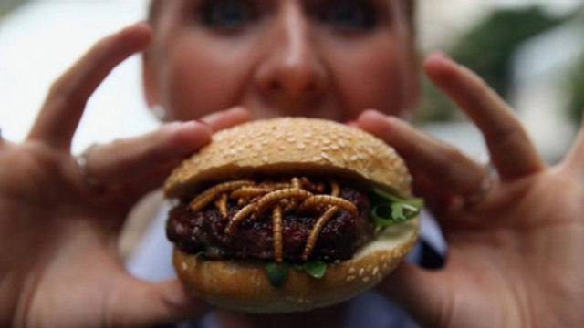 Pour sauver le monde, êtes-vous prêts à manger des insectes ?