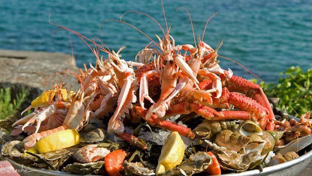 Coquillages et crustacés : ces plats d'été contiennent beaucoup de... plastique