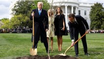 Pourquoi l'arbre planté par Trump et Macron a été déterré