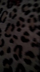 Kulit kulit harimau Buatan