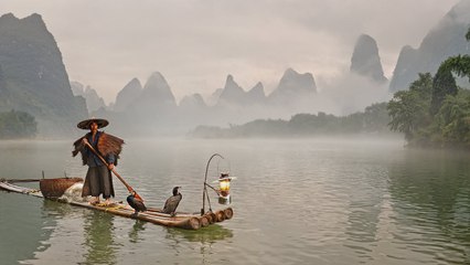Maître-Cormoran  : un métier ancestral conservé par le Japon