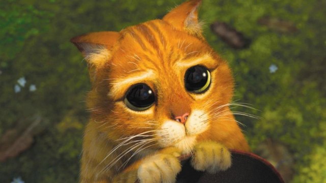 5 signes pour reconnaître une personne hypersensible