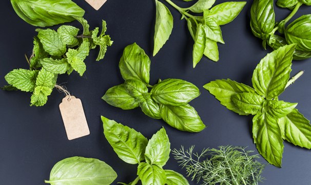 Comment faire pousser ses herbes aromatiques chez-soi ?