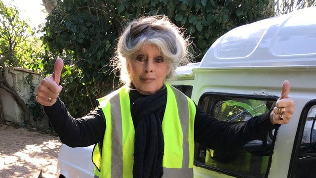 Macron tue les petits gens Brigitte Bardot attaque violemment Emmanuel Macron... et sa femme