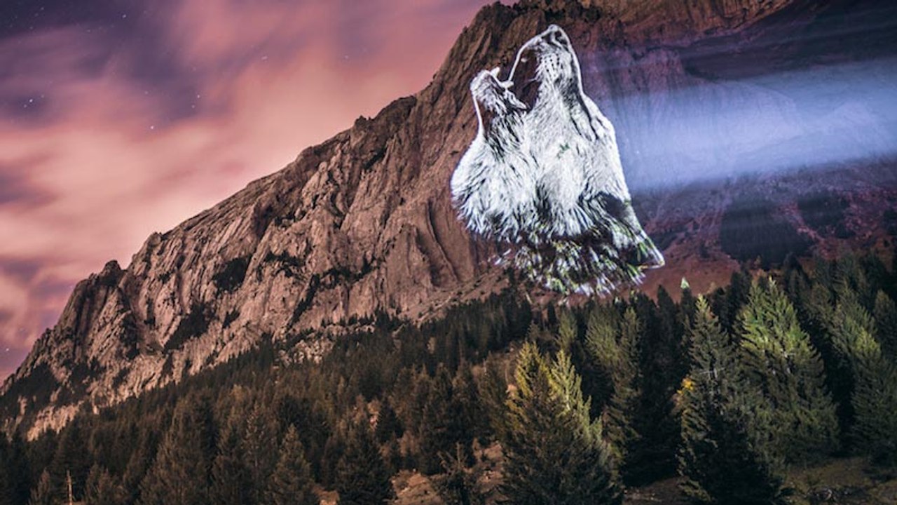 Dans les Alpes, des portraits lumineux d’animaux menacés sont projetés sur les montagnes