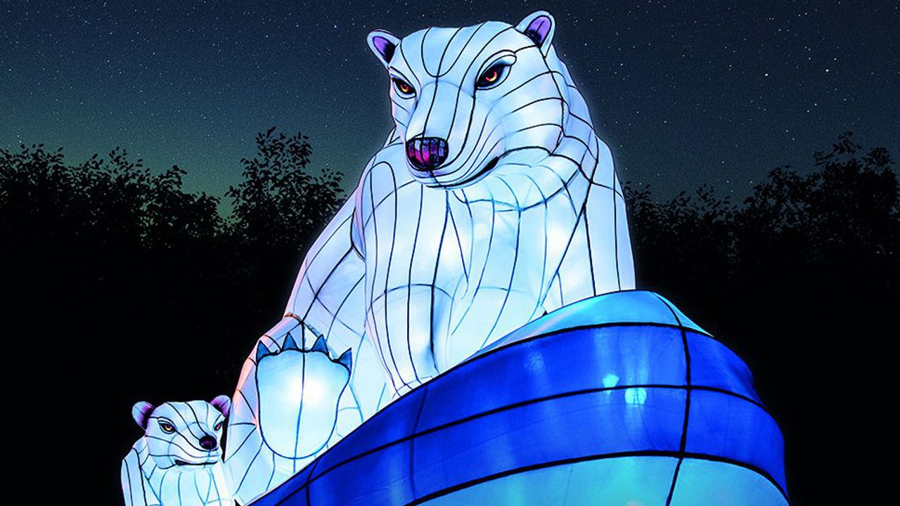 Les sorties du week-end !